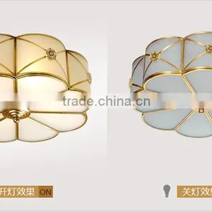 Ceiling Lighting Home Design Ideas New Ideas Overhead thumbnail-5
