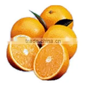 Mandarin "Kinnow" Special Offer for Russian Buyers Orange thumbnail-1