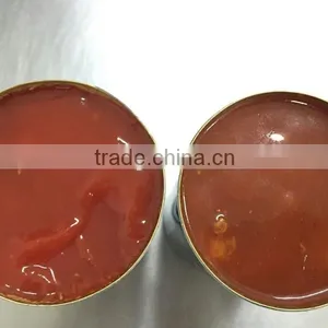 425g Canned Sardine in Tomato Sauce(WW-155) thumbnail-3