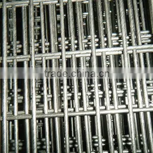 1x1 Stainless Steel Welded Wire Mesh thumbnail-3