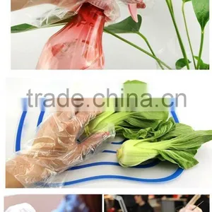 Food Grade Disposable Gloves thumbnail-4