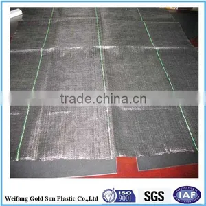 Anti uv pp Spunbond Nonwoven Weed Mat thumbnail-1