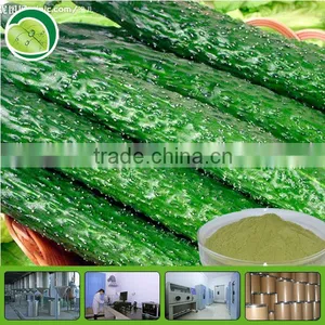 80mush Cold Dried Cucumber Powder thumbnail-1