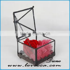 Small Geometric Teardrop Terrarium For Home Decroation thumbnail-4