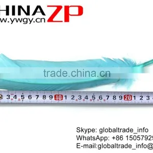 CHINAZP Feather Exporting Good Quality Dyed Light Blue Wild Solid Color Turkey Pointers Wing Quill Feathers thumbnail-4