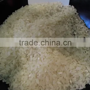 US#1 Calrose Rice, Short Grain Rice, Round Grain thumbnail-1
