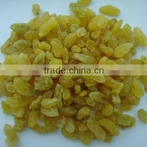 Golden Raisin thumbnail-1