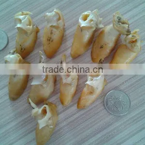 Frozen Sticky Snail Meat(703) thumbnail-1