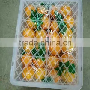 Fresh Sweet Naval Orange thumbnail-6