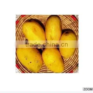 Indian Fresh Mango thumbnail-1