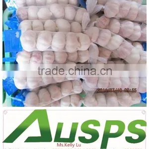 Fresh Chinese 3p Pure White Garlic thumbnail-3