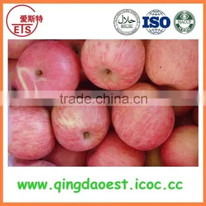 Fresh Red Fuji Apple thumbnail-4