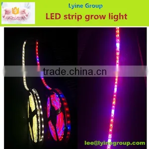 AC/DC 12 Led Neon Flexible Bendable Led Strip 5050 thumbnail-1