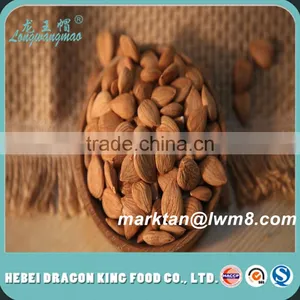 Hot Selling Apricot Kernels With Low Price/Grade A Apricot Kernels With or Without Skin thumbnail-2