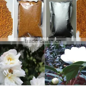 Best Broken Bee Pollen thumbnail-2