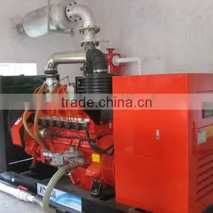 Farm Waste/Animal Waste Biogas Power Plant/Biomass Cogeneration Plant 20KW-500KW thumbnail-1
