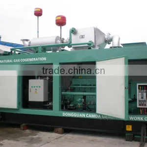 Camda Doosan Daewoo Gas Generator Set 300KW/ Gas Power Plant/MW Natural Gas Genset thumbnail-1
