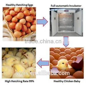 Solar Eggs Incubator 1056 Chicken Eggs Incubation Equipment thumbnail-5