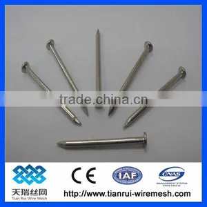 Common Nail/polished Nail/galvanized Nail thumbnail-5