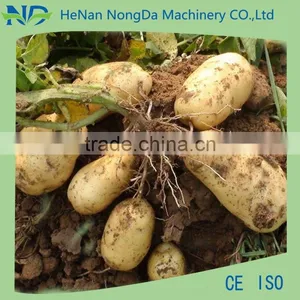 Agri Equipment 1 Row Potato Seeder thumbnail-5