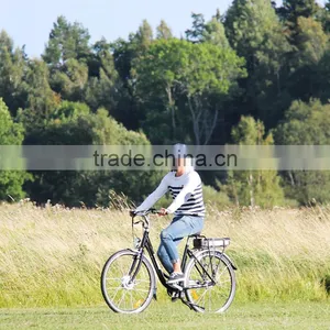 250W 36V Chinese City Electric Bike for Sale (EL01A) thumbnail-6