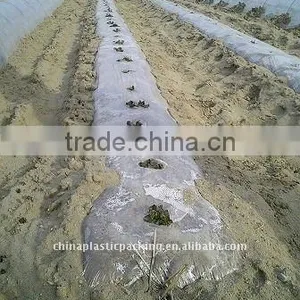 Wholesale! Plastic Transparent Mulching Film With Holes thumbnail-1