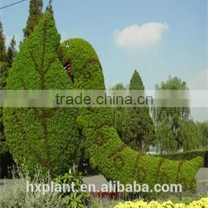 Small Sculpture Aritificial Green Sculpture Plastic Fake Plant Artificial Sculpture Artificial Plastic Statue thumbnail-2