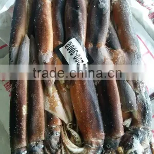 Frozen Illex Squid Wholesale Whole Round Squid FROZEN SEAFOOD thumbnail-1