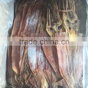 Dried Illex Squid thumbnail-1