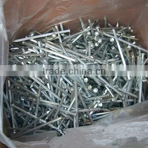 Cheap Price Hot Dipped Galvanized Boat Nails Square Shank Boat Nails thumbnail-6