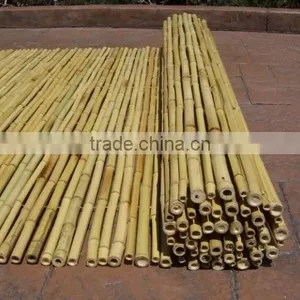 Drilled Bamboo Fence for Garden thumbnail-1