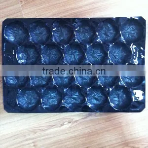 Food Grade Recycle PP Plastic Tomato Packing Tray Liners thumbnail-6