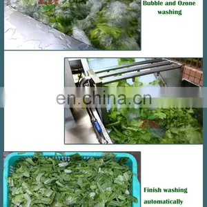 Air Bubble Fruit Washing Machine Strawberry Washer Machine Mushroom Washing Machine for Food Processing Factory thumbnail-7