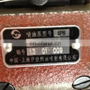Shanghai Dongfeng 6135ACAF Injetion Pump P/N 229Y-000 C/w Governor Assy P/N 450A-000 thumbnail-2
