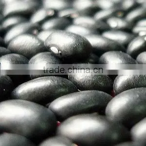 Organic Kidney Bean thumbnail-1