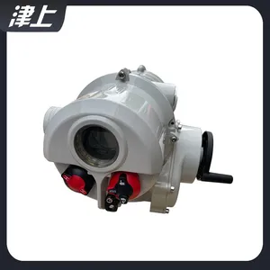 Angular Stroke Electric Actuator IT10 Electric Valve Actuator thumbnail-4