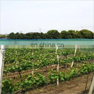Free Sample Hdpe 50gsm Anti Hail Net thumbnail-3