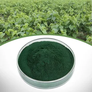 Sodium Copper Chlorophyllin thumbnail-1