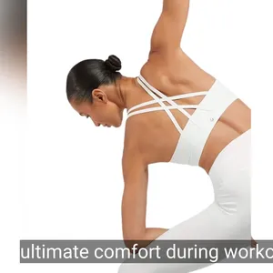 Seawind Apparel Ltd company overview - view 1 thumbnail