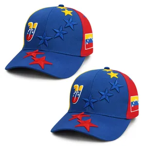 Embroidered 100% Cotton 6-Panel Baseball Cap Custom, Unisex, Adjustable Size thumbnail-2