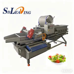 Vegetable and Fruit Vortex Washing Machine Bubble Cleaning Cabbage Lettuce Pepper Washer for Vegetable Processing Plants thumbnail-1
