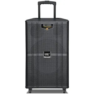 12-inch Outdoor Party Subwoofer With Bluetooth thumbnail-5