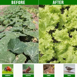 White Anti Insect Net for Greenhouse Ventilation and Pest Prevention thumbnail-3