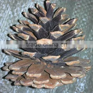 Christmas Tree Decoration Pine Cone thumbnail-6
