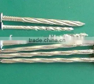Top Selling Galvanized Twisted Nails China Manufacturer thumbnail-2