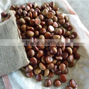 Fresh Chestnut thumbnail-5