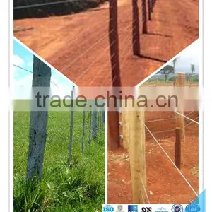 Cheaper High Tensile Galvanized Steel Oval Wire thumbnail-2