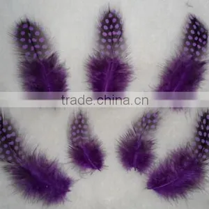 Guined Fowl Spot Feather For Handmade Gift Decoration thumbnail-2