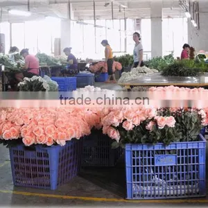 Yiwu Rocky Arts And Crafts Factory company overview - view 1 thumbnail