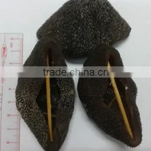 Dried Sea Cucumber ( Black/Yellow Sand Fish ) thumbnail-3